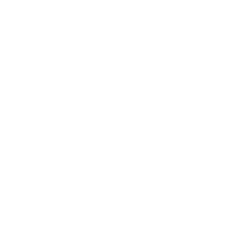 WordPress.webp